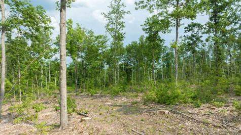 0031 Leach Hill Road Casco ME 04015