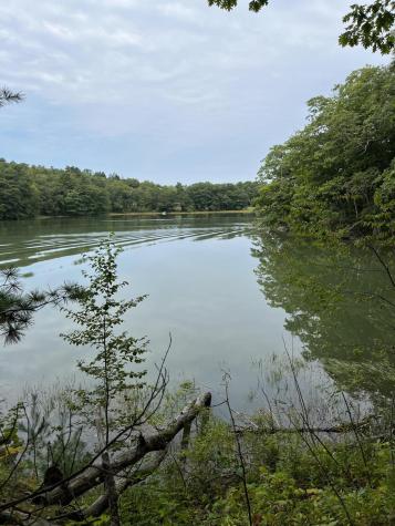 265 Friendship Road Waldoboro ME 04572