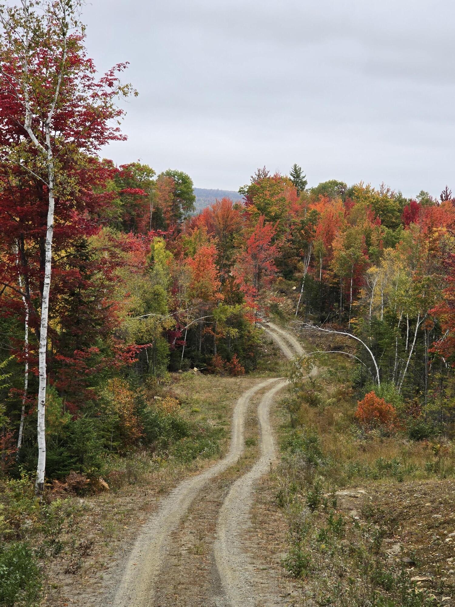 Lot #4 Woods Road Phillips ME 04966