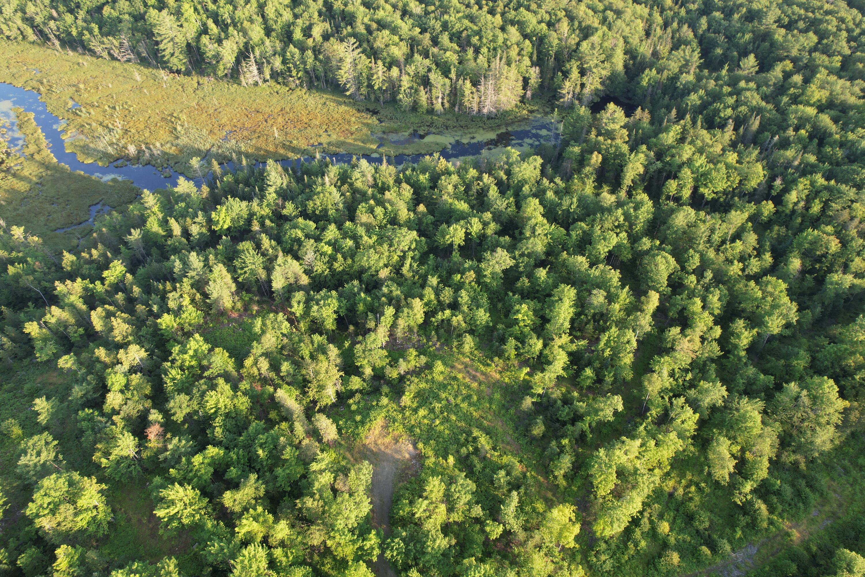 Lot #4 Woods Road Phillips ME 04966