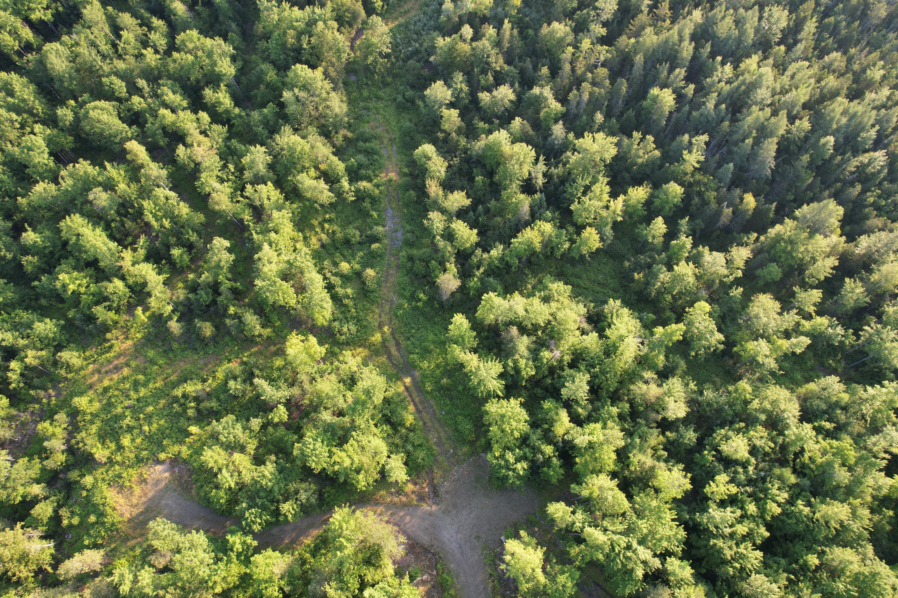 Lot #4 Woods Road Phillips ME 04966