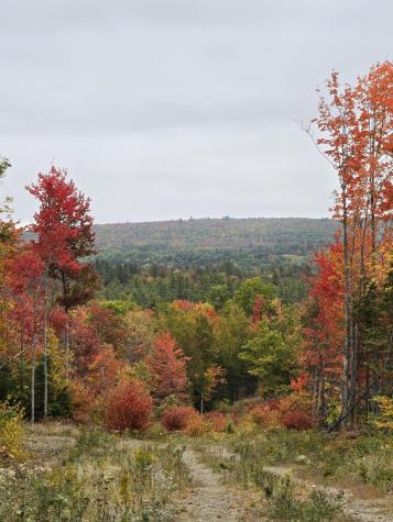 Lot #4 Woods Road Phillips ME 04966