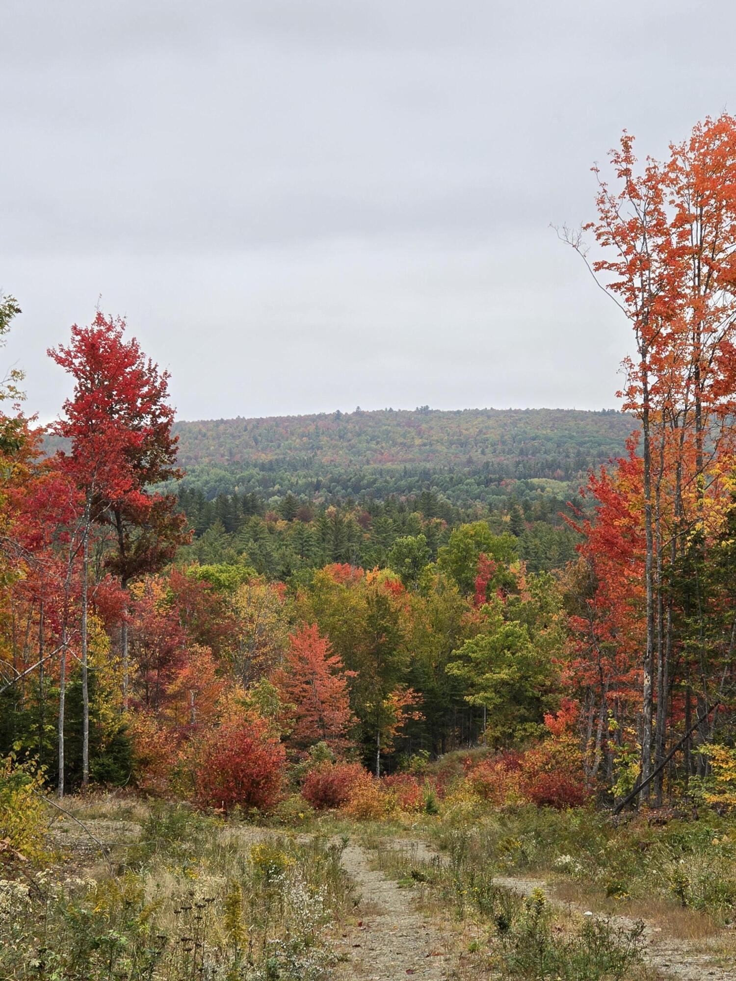 Lot #4 Woods Road Phillips ME 04966