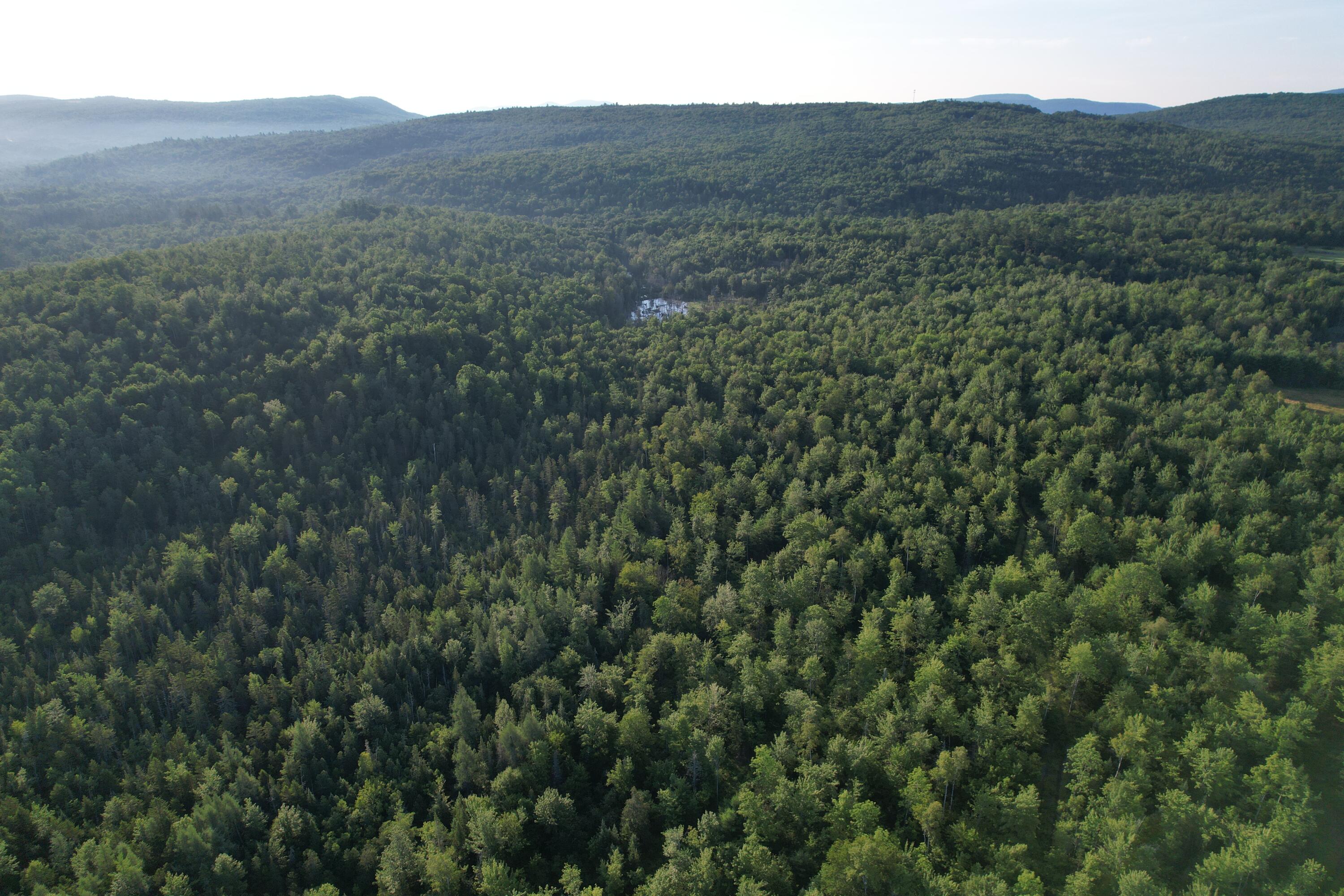 Lot #4 Woods Road Phillips ME 04966