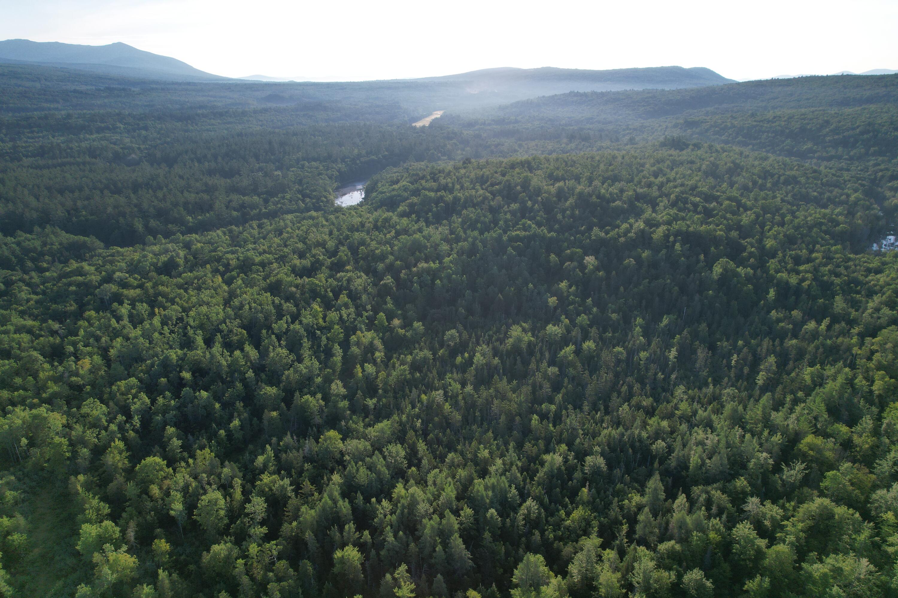 Lot #4 Woods Road Phillips ME 04966