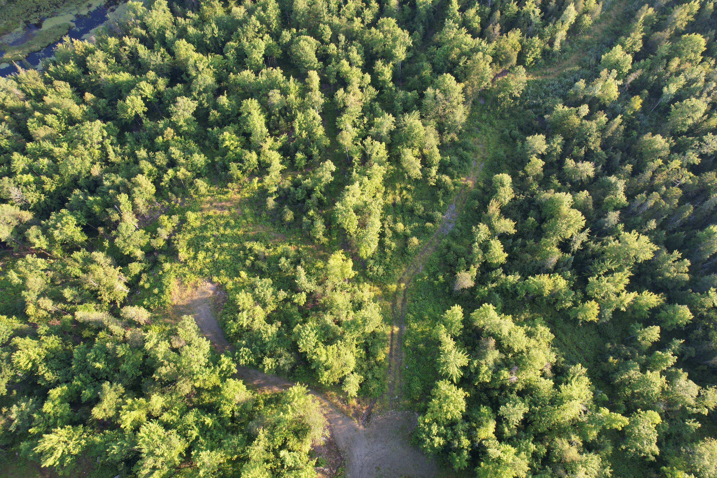 Lot #4 Woods Road Phillips ME 04966