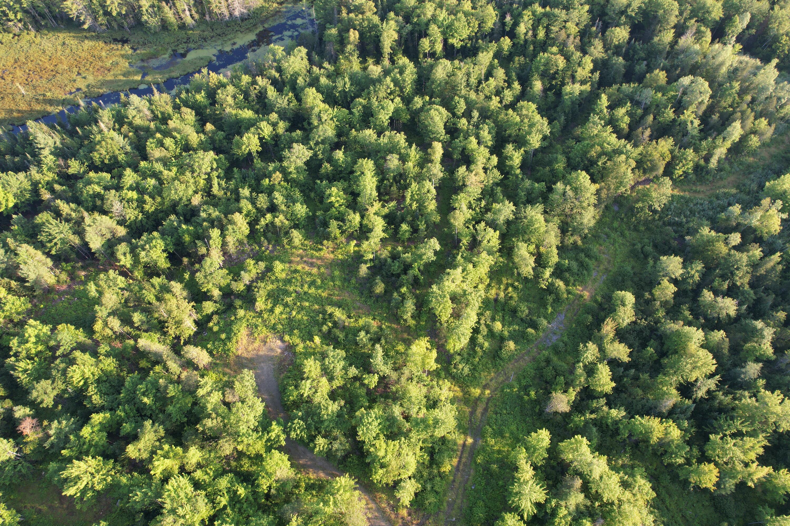 Lot #4 Woods Road Phillips ME 04966