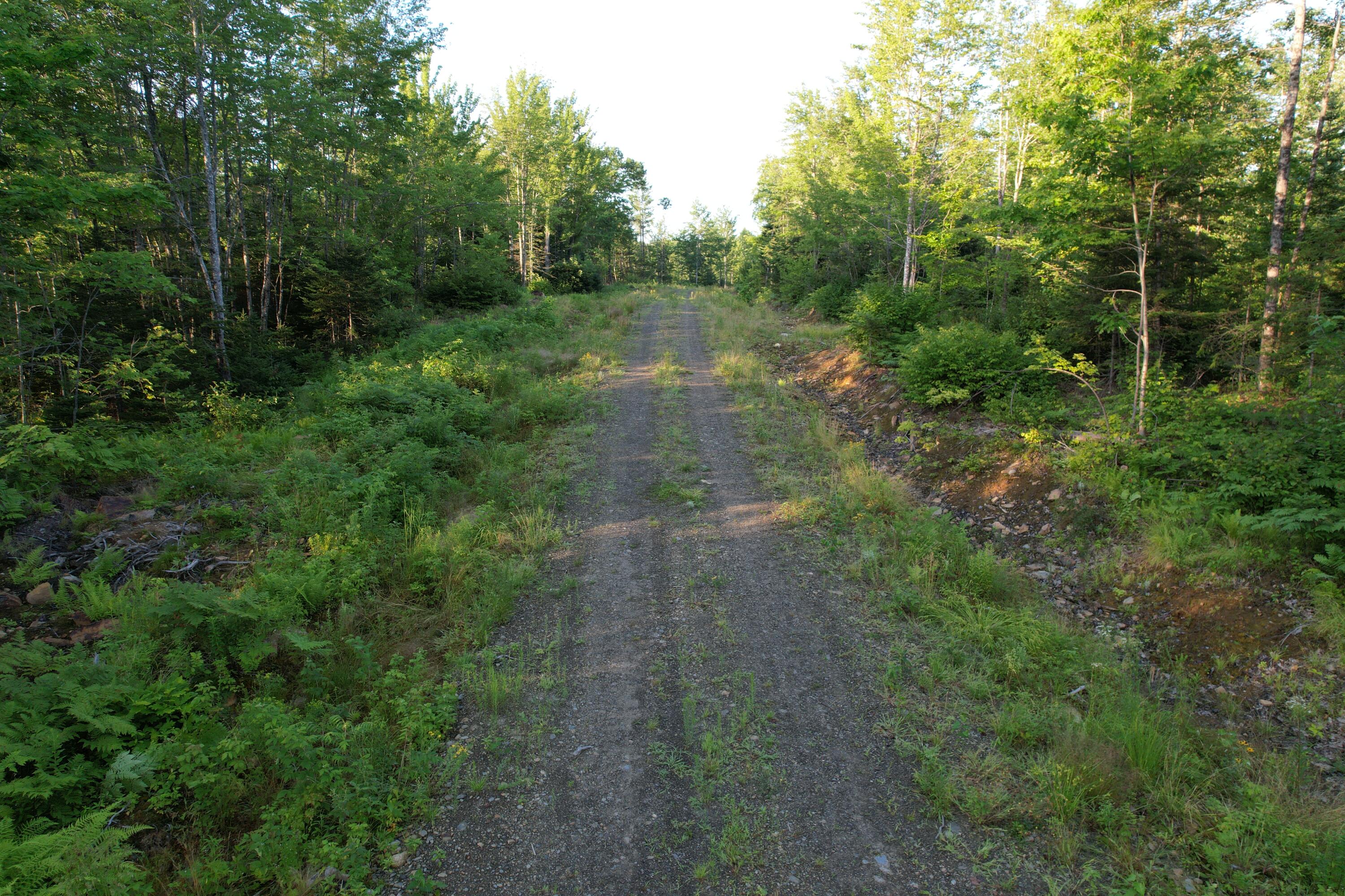 Lot #4 Woods Road Phillips ME 04966