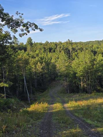 Lot #4 Woods Road Phillips ME 04966