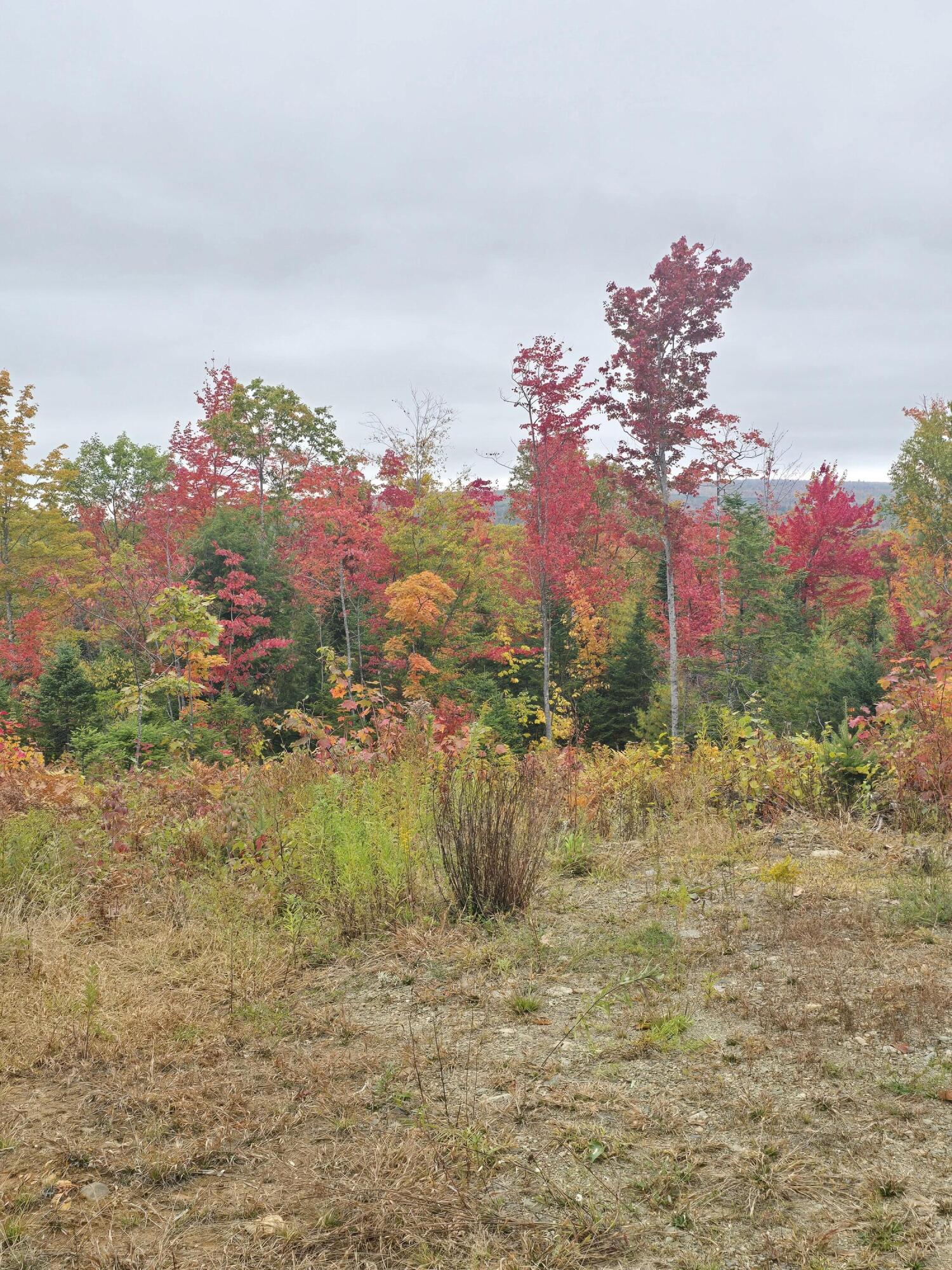 Lot #4 Woods Road Phillips ME 04966