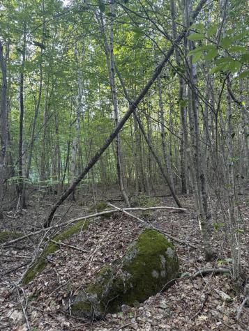 500 Cosgrove Drive Otis ME 04605