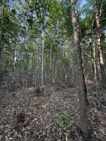 500 Cosgrove Drive Otis ME 04605