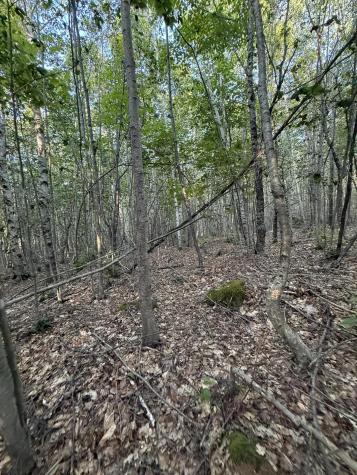 500 Cosgrove Drive Otis ME 04605