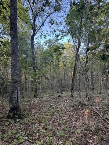 500 Cosgrove Drive Otis ME 04605