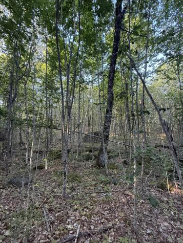 500 Cosgrove Drive Otis ME 04605