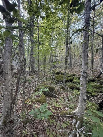 500 Cosgrove Drive Otis ME 04605