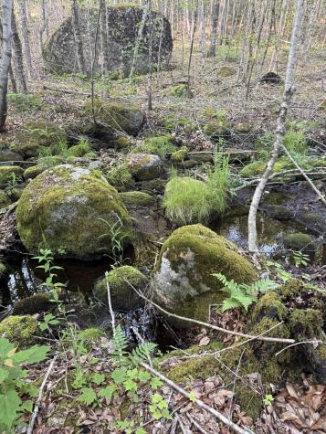 500 Cosgrove Drive Otis ME 04605