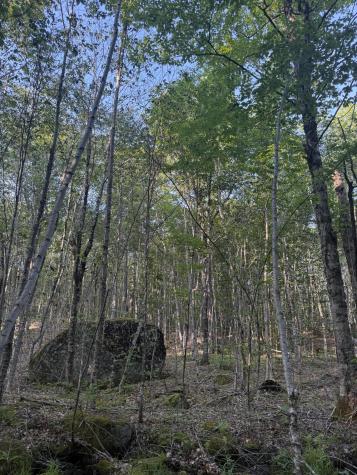 500 Cosgrove Drive Otis ME 04605