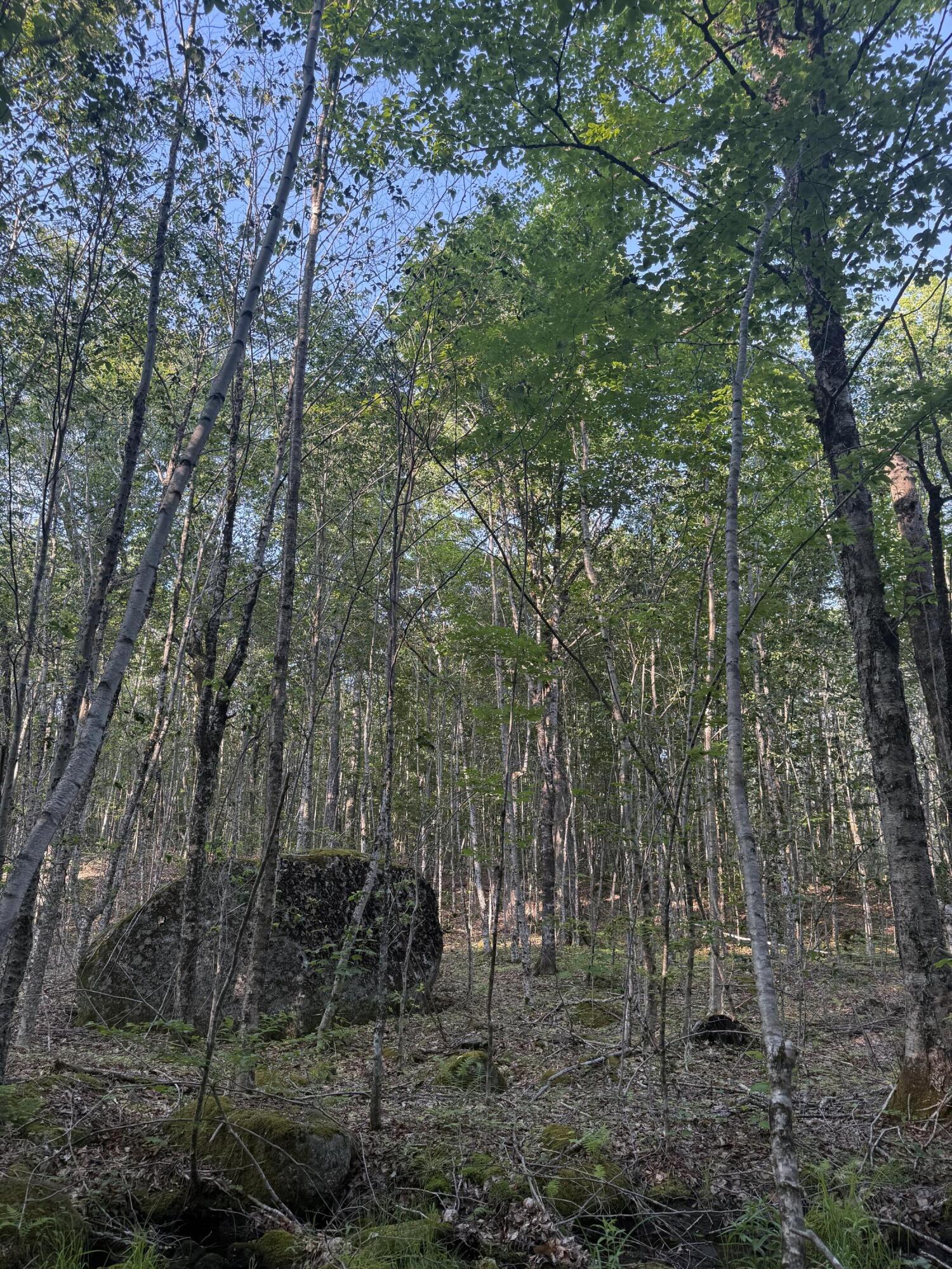 500 Cosgrove Drive Otis ME 04605