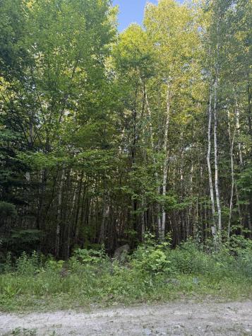 500 Cosgrove Drive Otis ME 04605