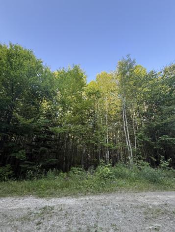 500 Cosgrove Drive Otis ME 04605