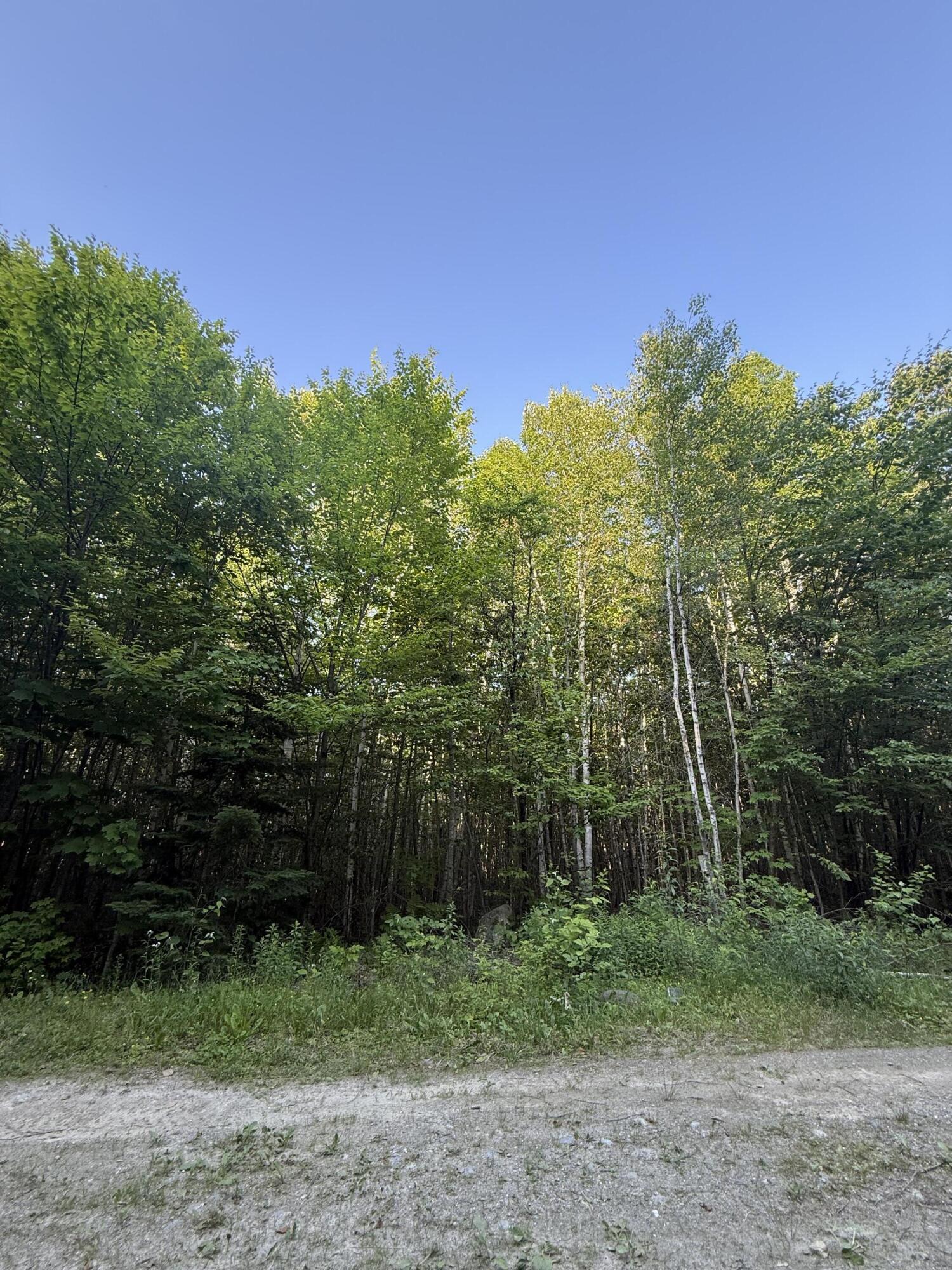 500 Cosgrove Drive Otis ME 04605