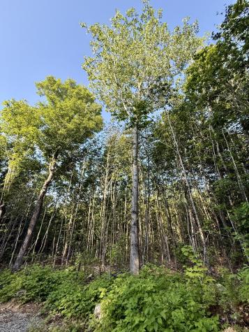 500 Cosgrove Drive Otis ME 04605