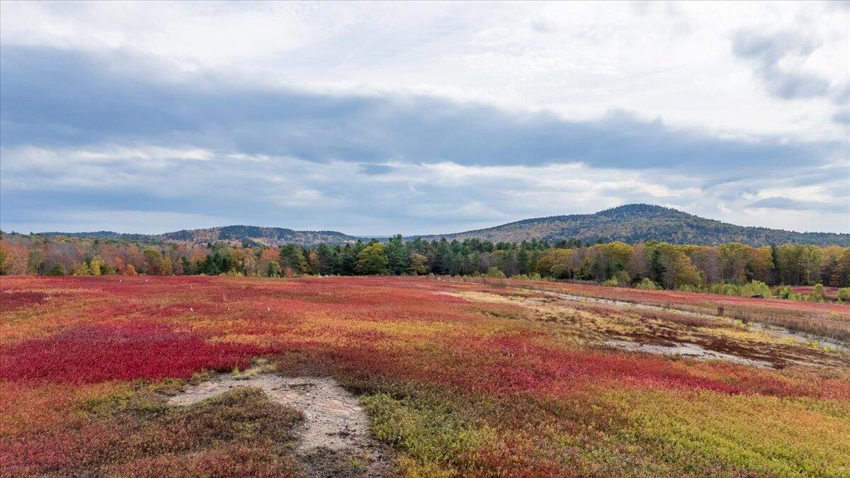 423 Beech Hill Road Northport ME 04849