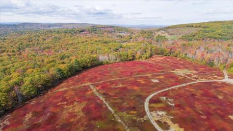 423 Beech Hill Road Northport ME 04849