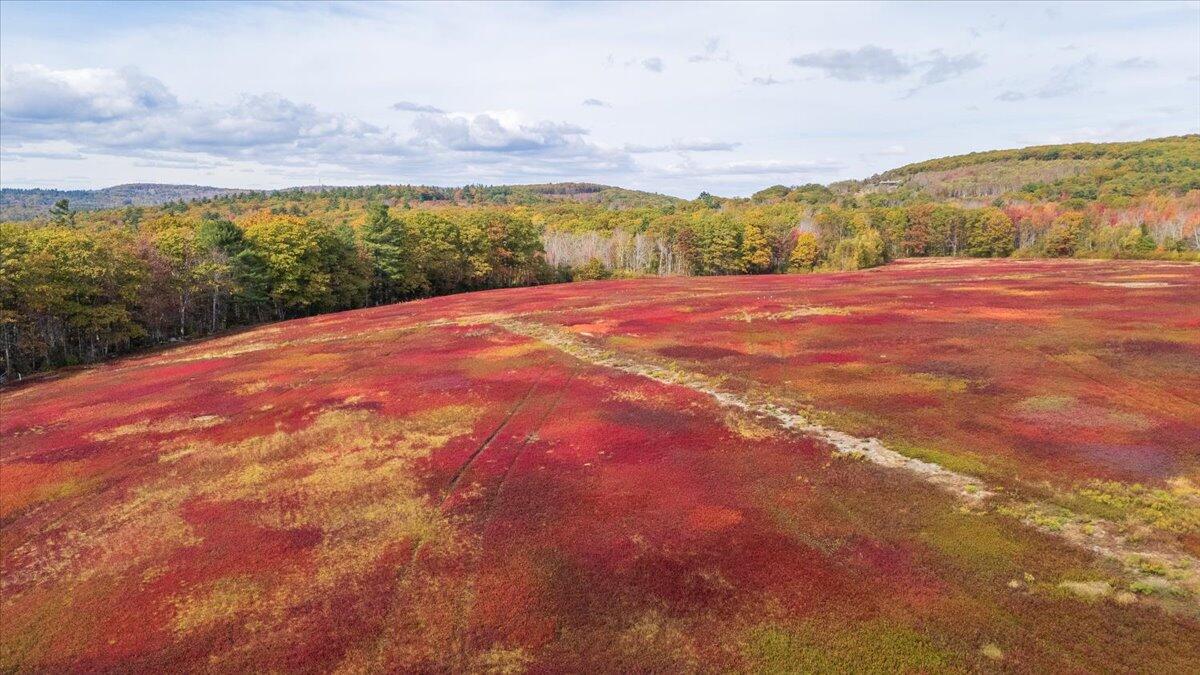 423 Beech Hill Road Northport ME 04849