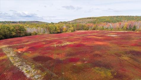 423 Beech Hill Road Northport ME 04849