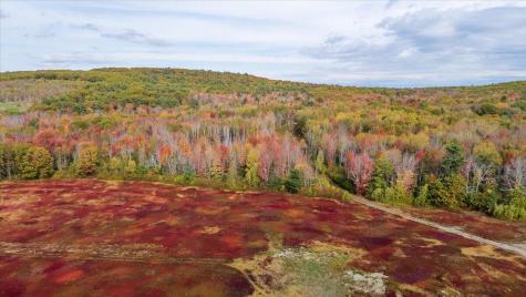 423 Beech Hill Road Northport ME 04849