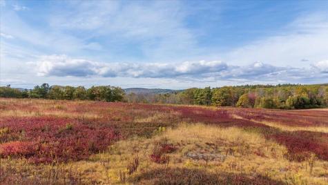 423 Beech Hill Road Northport ME 04849