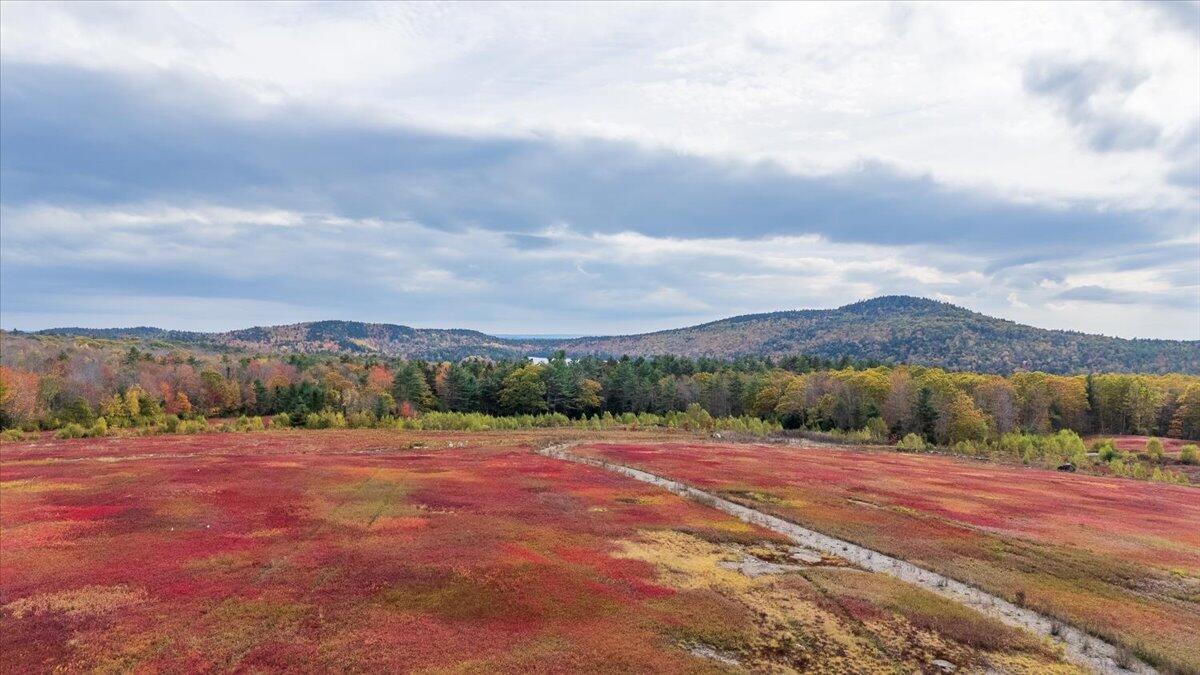 423 Beech Hill Road Northport ME 04849