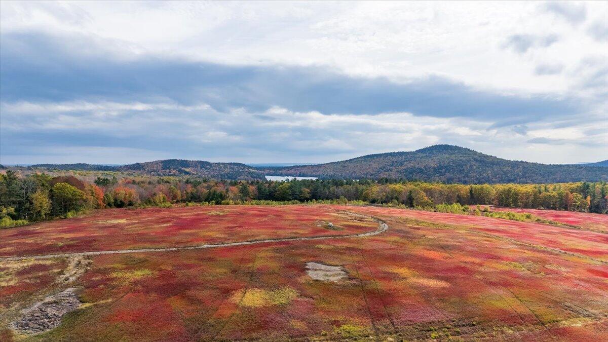 423 Beech Hill Road Northport ME 04849