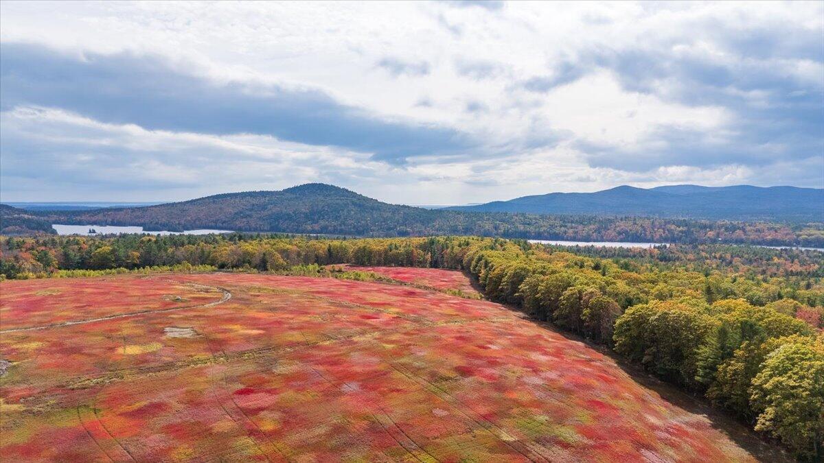 423 Beech Hill Road Northport ME 04849