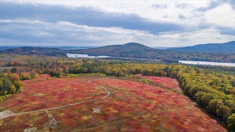 423 Beech Hill Road Northport ME 04849