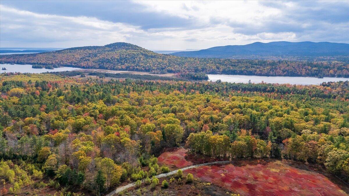 423 Beech Hill Road Northport ME 04849