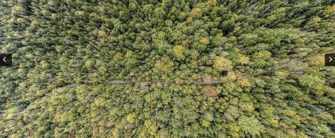 Lot 11-1 Carry Ridge Road Northfield ME 04686