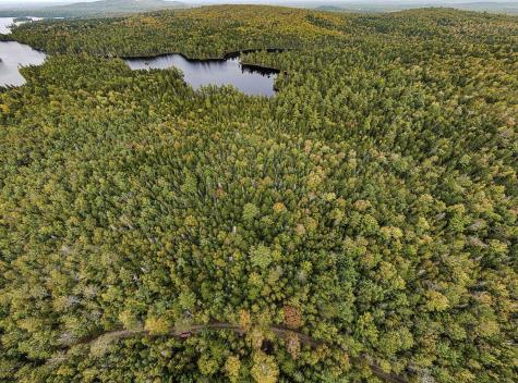 Lot 11-1 Carry Ridge Road Northfield ME 04686