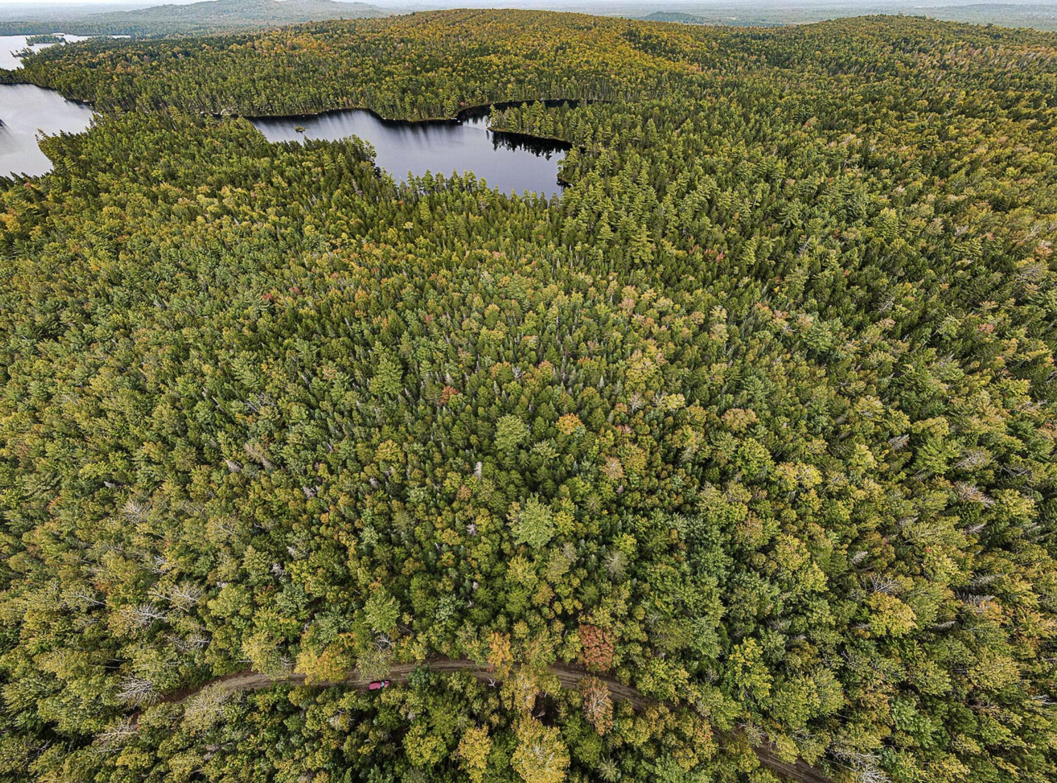 Lot 11-1 Carry Ridge Road Northfield ME 04686
