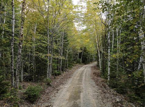 Lot 11-1 Carry Ridge Road Northfield ME 04686