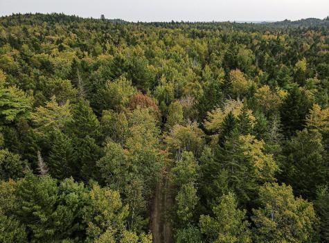 Lot 11-1 Carry Ridge Road Northfield ME 04686