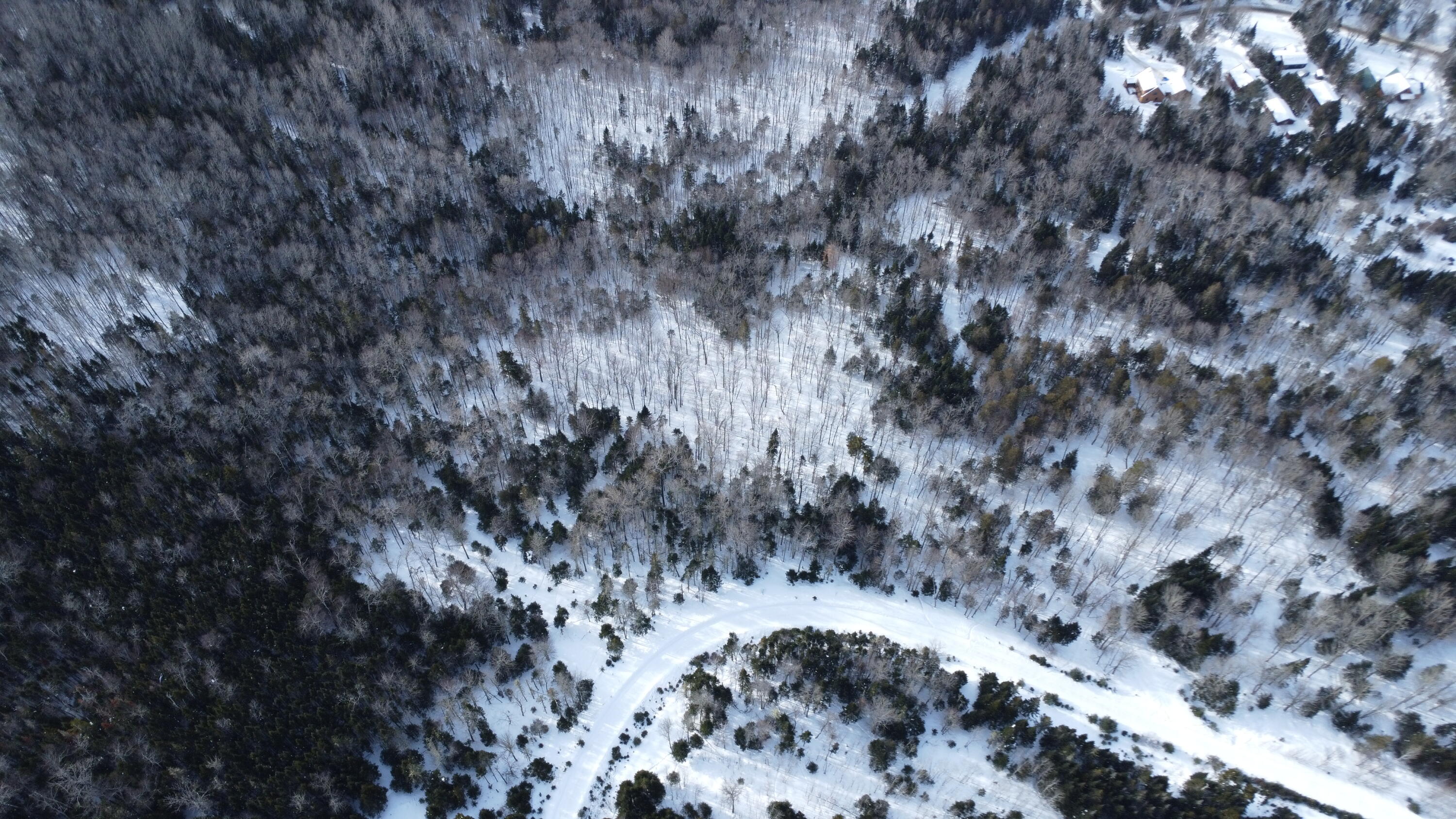 Lot 6 Wheeler Road Rangeley ME 04970