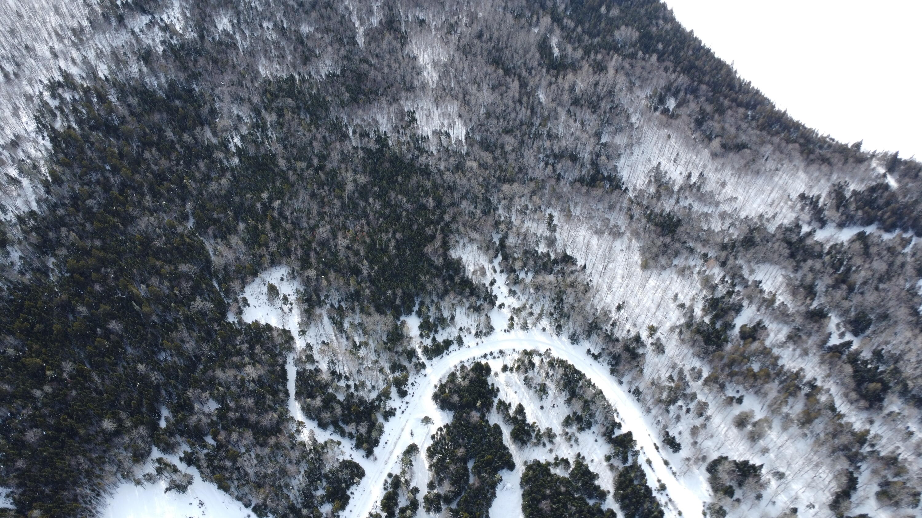 Lot 6 Wheeler Road Rangeley ME 04970