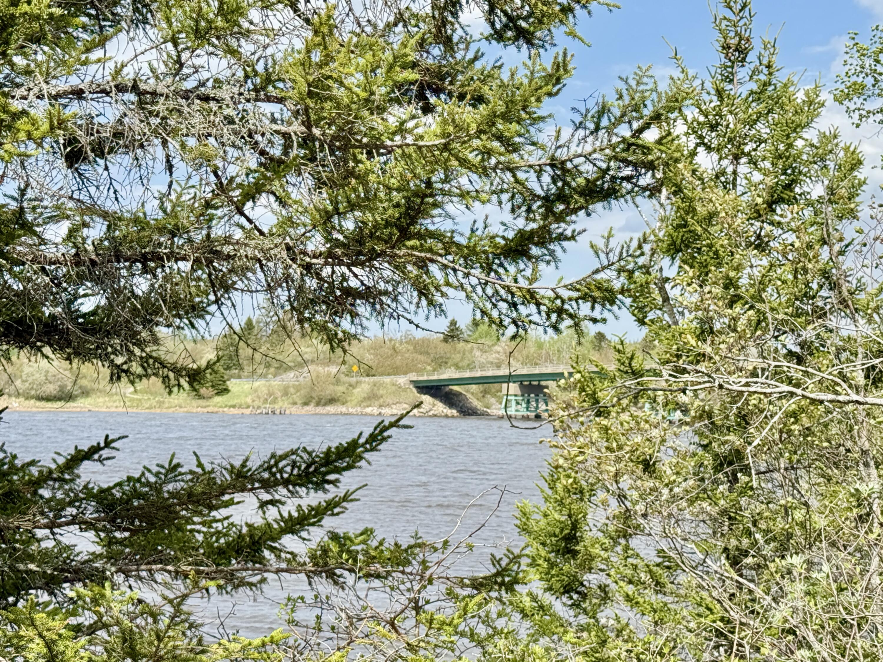 Lot 5-3 East Palmer Road Machiasport ME 04655