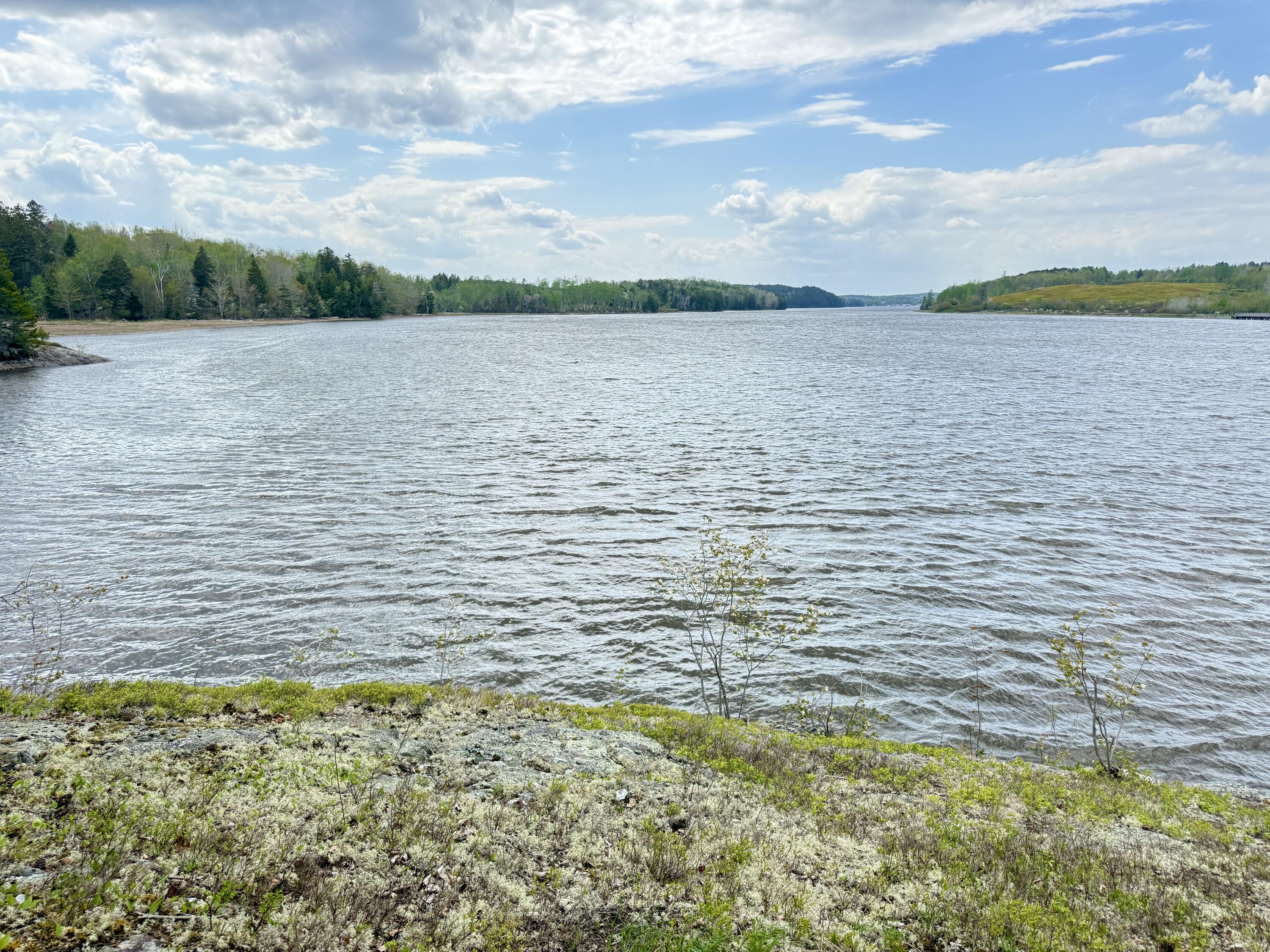 Lot 5-3 East Palmer Road Machiasport ME 04655