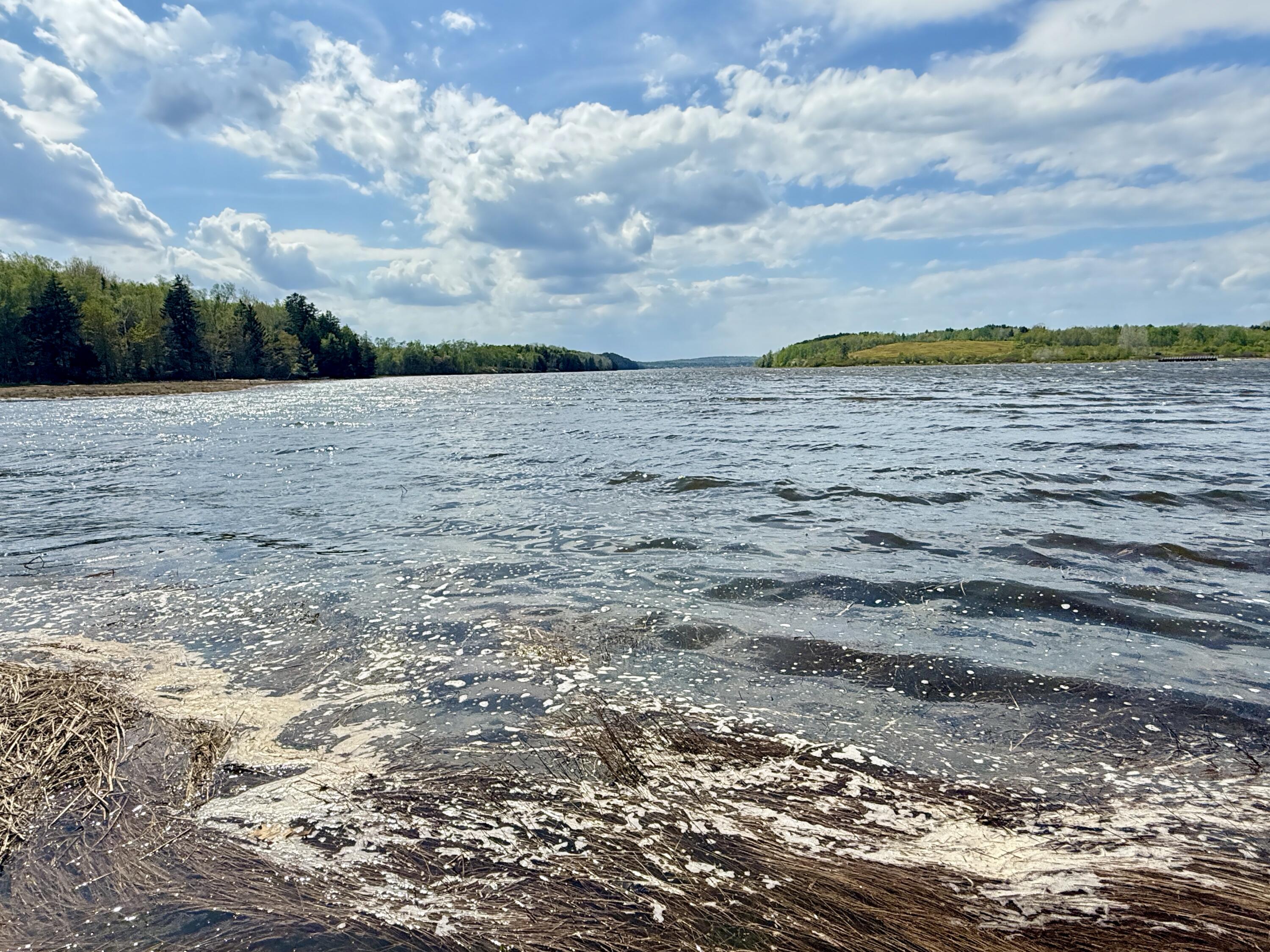 Lot 5-3 East Palmer Road Machiasport ME 04655