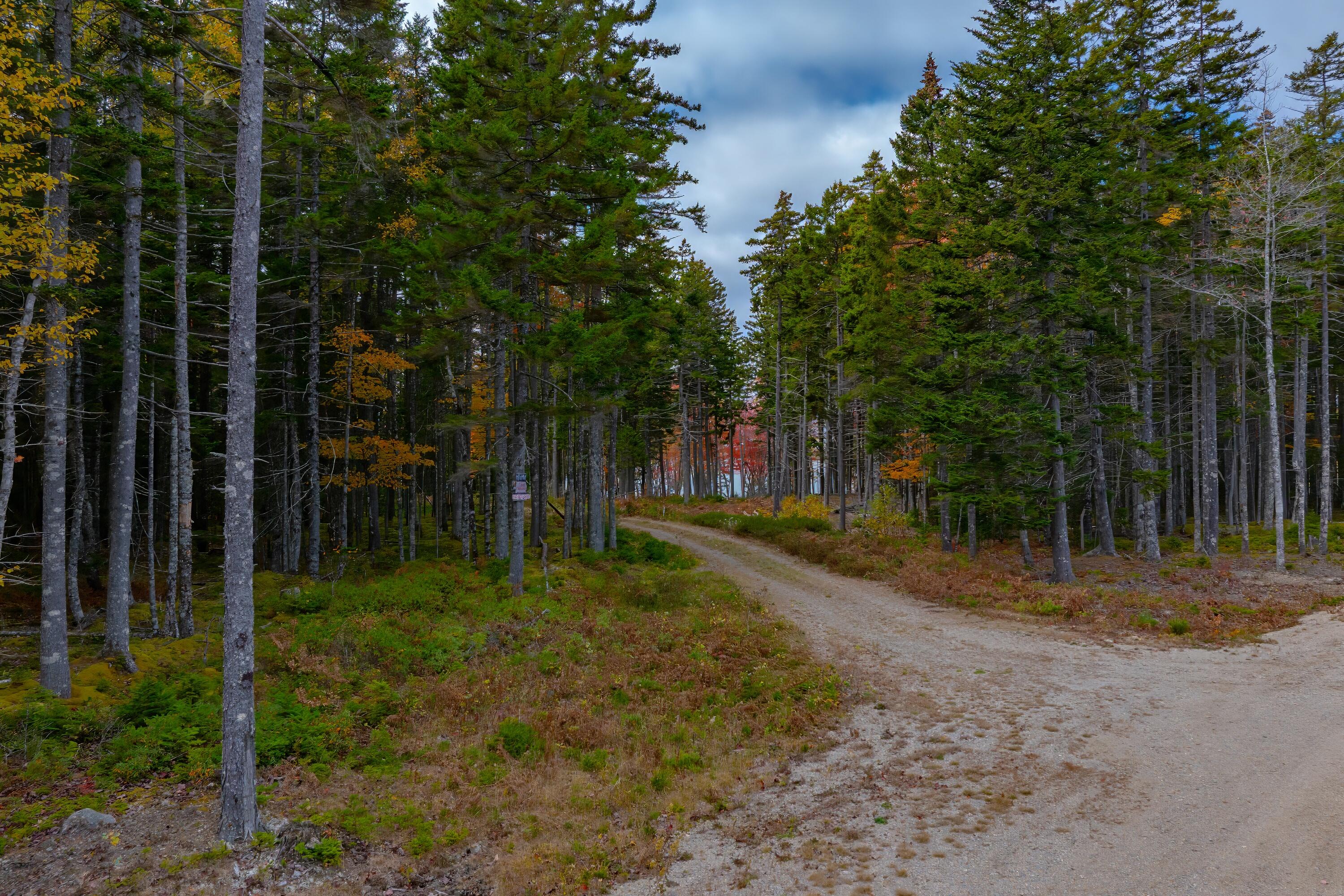 272 Estates Road Steuben ME 04680