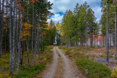 272 Estates Road Steuben ME 04680